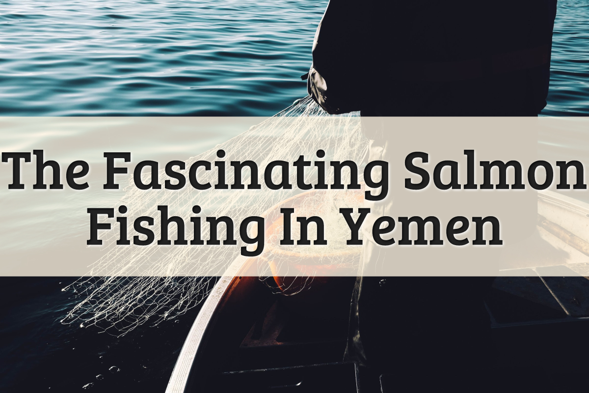 Salmon Fishing In Yemen: A Fascinating Sport To Try (2022)